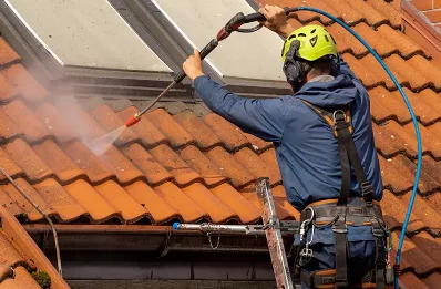Démoussage et hydrofuge de toiture à Mazuby